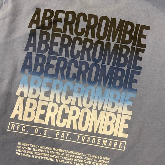 Abercrombie Navy Blue Logo Hoodie & Lt Blue Abercrombie Long Sleeve Tee BUNDLE - Picture 7 of 11